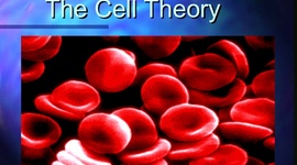 Timeline: cell theory evolution timeline 1590-1981