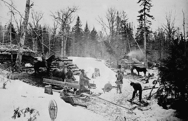 Essor du commerce du bois