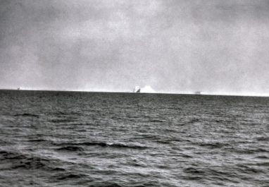 Humans started affecting the ocean- overfishing