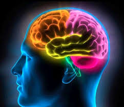 SPI Glover, Plake, Roberts, Zimmer y Palmere