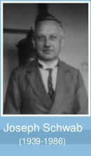 MODELO DE J. SCHWAB  enfoque crítico)