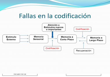 Brown y Craik, 2000; Thomson y Tulving,