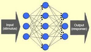 Anderson, 1996, 2000; Smith, 1996