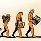 Evolution