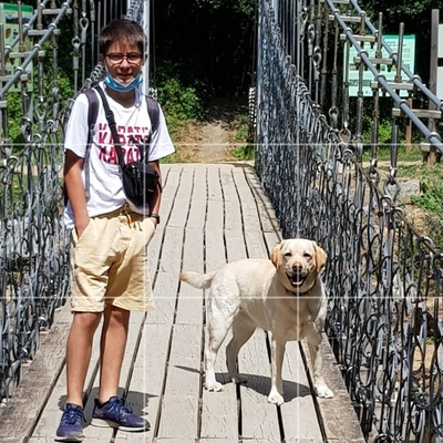 Timeline: Eix cronològic Ricard