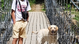 Timeline: Eix cronològic Ricard