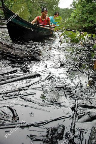 Exposure to televisions