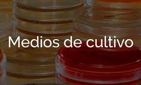 Beijerinck y Winogradsky