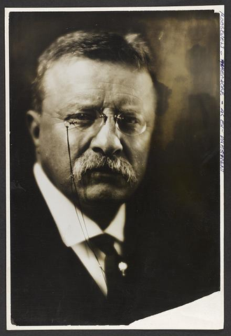 Theodore Roosevelt Elected 26th President of the US