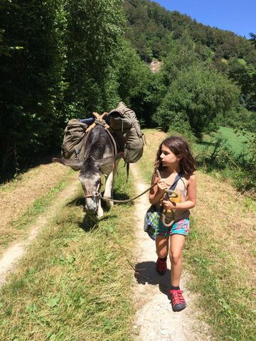 Unes vacances amb ase