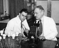 A. Schatz y S. Waksman