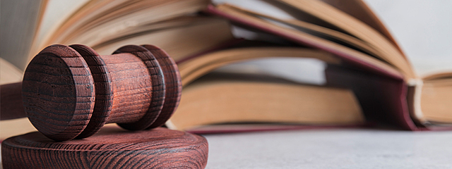 Tribunal de lo Contencioso Electoral