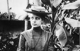 Lise Meitner