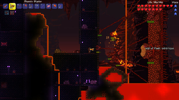 Terraria (PC)