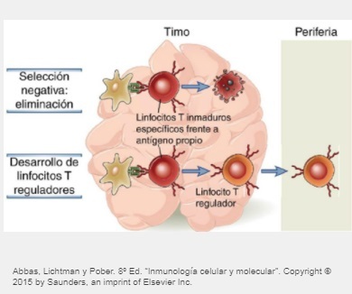 Mecanismo de Tolerancia Central