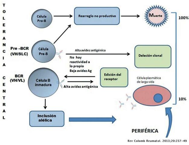 Mecanismo de Tolerancia Central