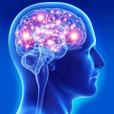 Timeline: История возникновения когнитивной нейробиологии. Лилиана Мельник