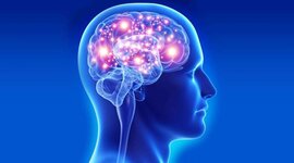 Timeline: История возникновения когнитивной нейробиологии. Лилиана Мельник