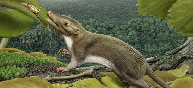 65  milioni di anni fa