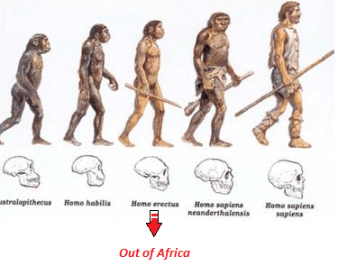 1,5 milioni di anni fa-70.000 anni fa