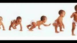 Timeline: Ítems de desenvolupament 0 - 6 anys