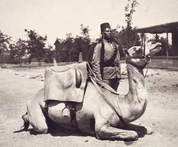 Investigación de parte del Gobierno Sudanes.