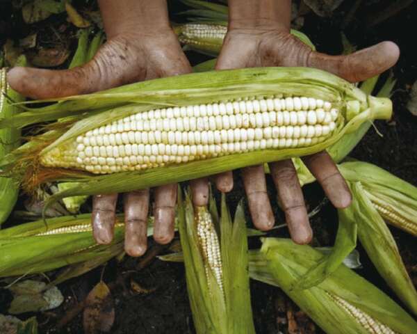 Apodaca y sus tradiciones.