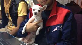 Timeline: Francisco Como estudiante