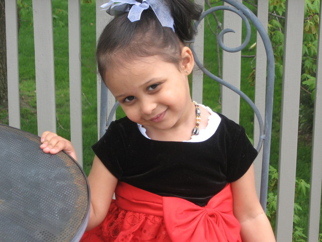 What are the ants saying?