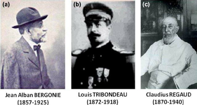 Ley de Radiosensibilidad