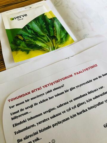 we get our seeds by our English teacher miss YILMAZ. :)