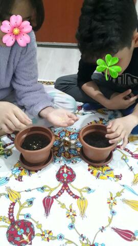 We sowed our seed today.