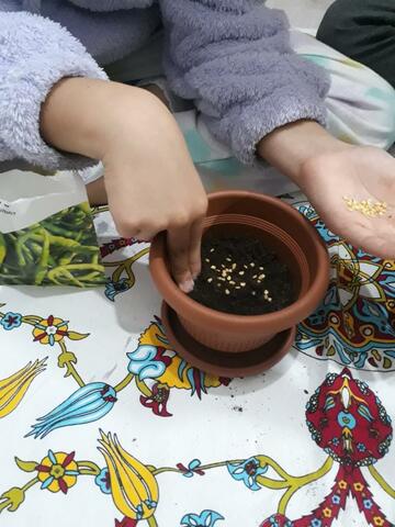 We sowed our seed today.