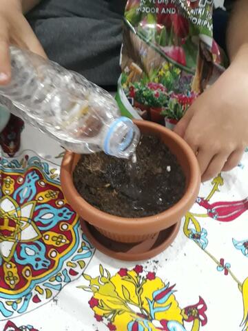 We sowed our seed today.