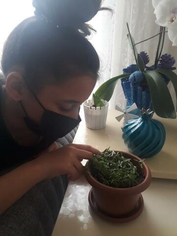 They are going on to grow day by day