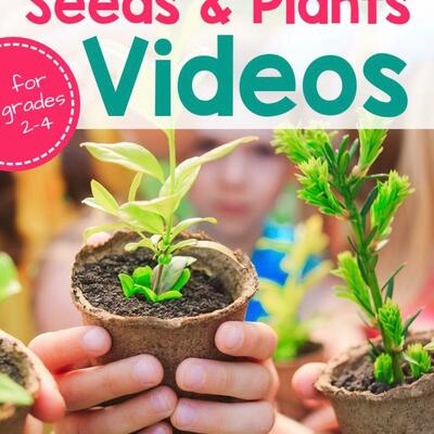 Timeline: Hİ! THIS IS EYMEN'S GROWING SEEDS