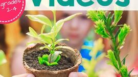 Timeline: Hİ! THIS IS EYMEN'S GROWING SEEDS