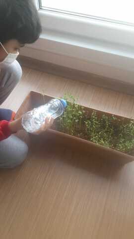 MY SEEDS ARE GROWİNG