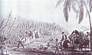 Prohibición de la esclavitud