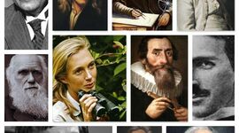 Timeline: Important Scientific Discoveries in 20th Century