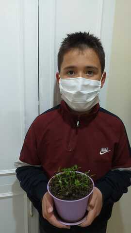 MY SEEDS ARE STABIL I THINK..