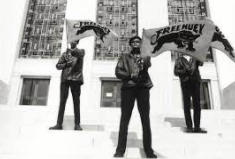 Black Panthers