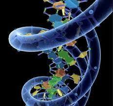 Factores biológicos. Garcia y Koelling (1966)