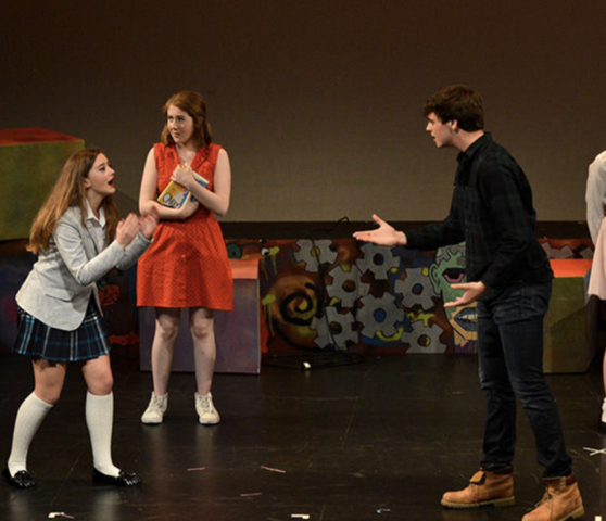 Marcus begins to act in school plays: Identity Role vs Confusion