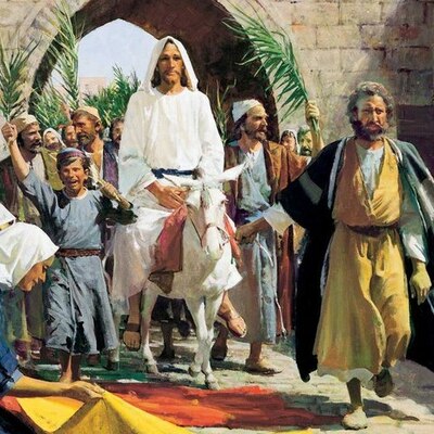 Timeline: Lucas 23 (20-54)