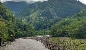 ¿y que pasa con los otros?