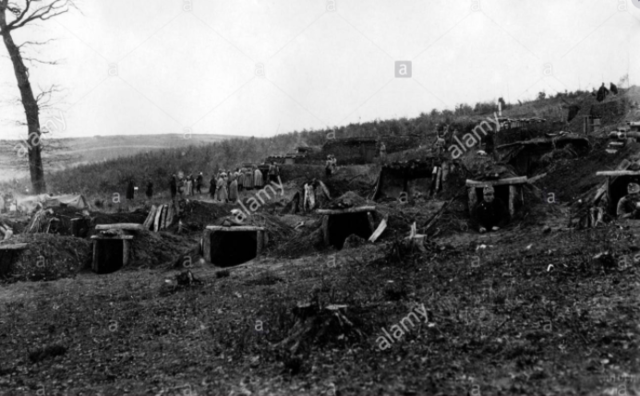 World War I begins. Poland joins Austria to fight Russia.