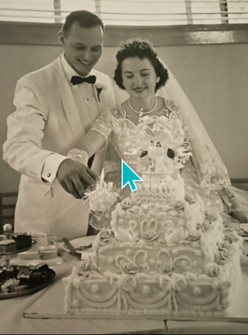 Renoda and Clifford Dogs were married