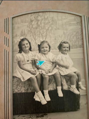 Renoda Dogs was born