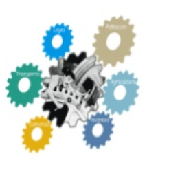 1800 - 1920 Fase de orientación a la producción.